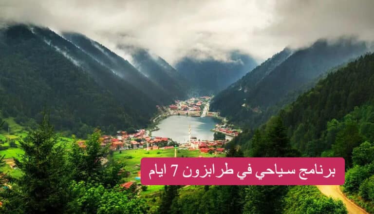 [Obrázek: %D8%A8%D8%B1%D9%86%D8%A7%D9%85%D8%AC_%D8...68x439.jpg]