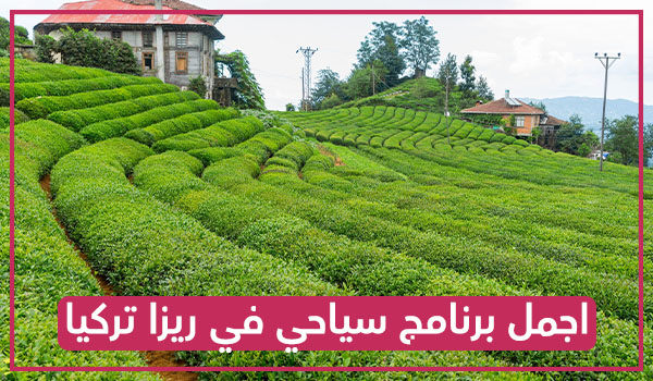 برنامج سياحي في ريزا